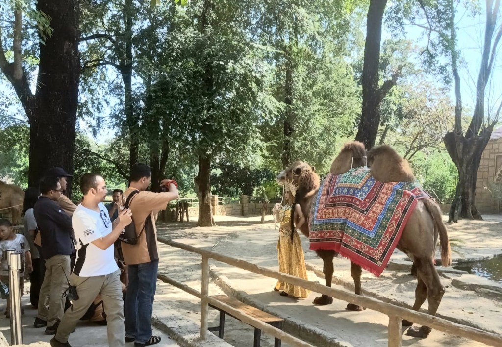 Mau Dapat Hadiah Jutaan, Ikut Lomba Foto Dan Video Internasional Di Solo Safari&nbsp;Aja